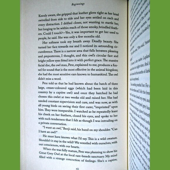 Book - The Wise Hours: A Journey into the Wild and Secret World of Owls - Picture 4 of 15